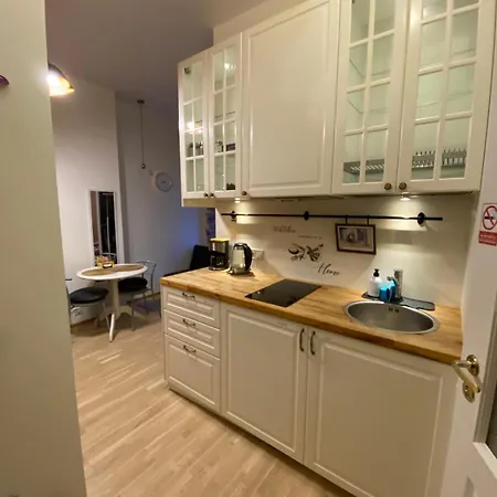 Apartamento Cozy 1-bedr In The Centre Near Old Town With Private Parking *